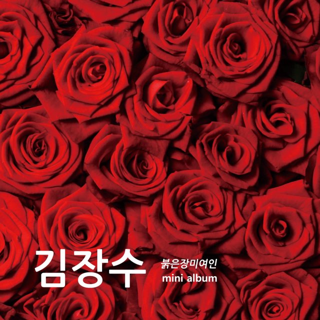 붉은 장미 여인