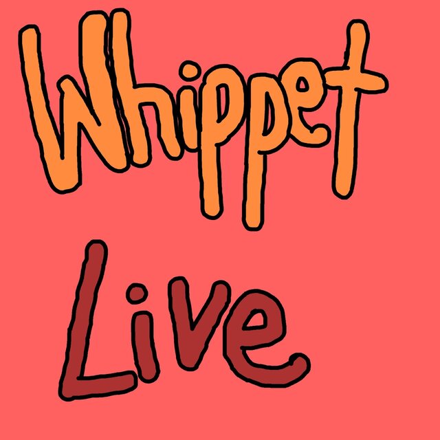 Whippet (Live)