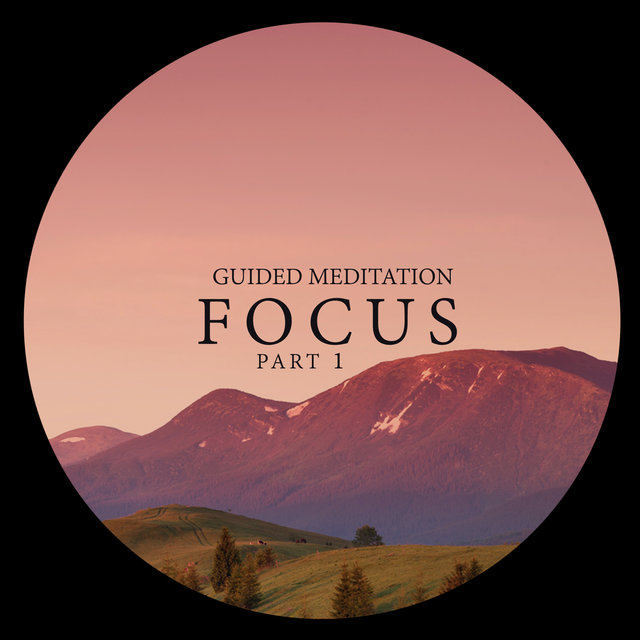 Guided Meditation: Focus Pt 1