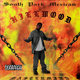 Cover art for album Hillwood by SPM