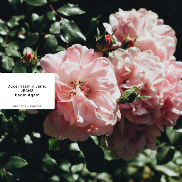 Begin Again