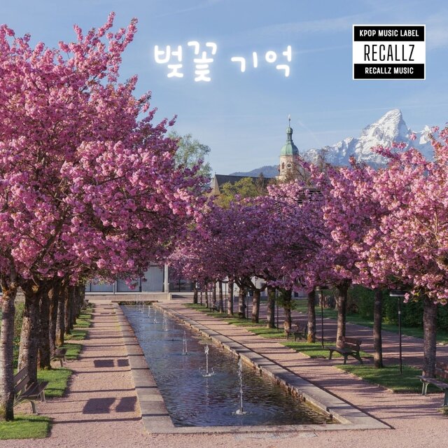 벚꽃 기억