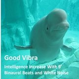 Intelligence Increase With 9' Binaural Beats and White Noise