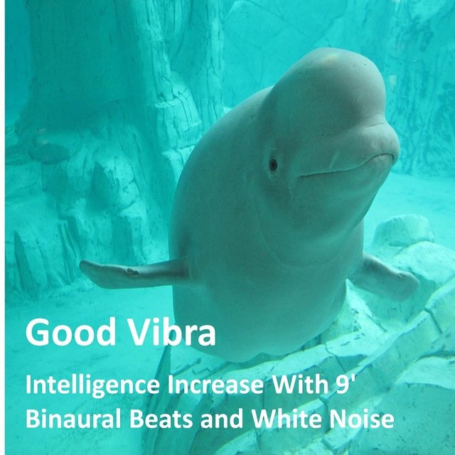 Intelligence Increase With 9' Binaural Beats and White Noise