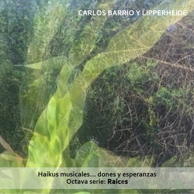 Haikus Musicales... Dones y Esperanzas. Octava Serie: Raíces