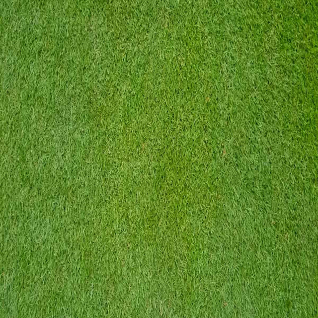 The Grass Is Greener