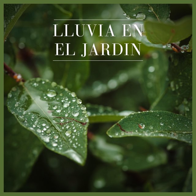 Lluvia en el Jardin