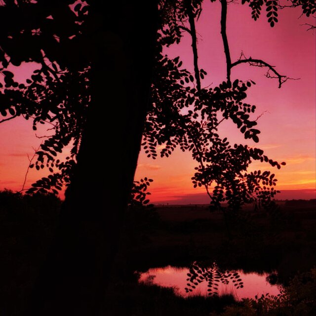Phonk Chill