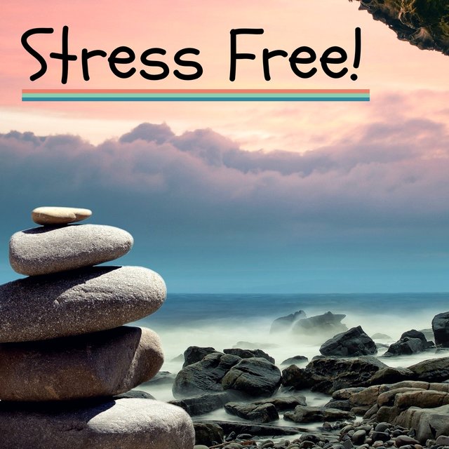 Stress Free – Calming Music Therapy, New Age Relaxation, Sounds of Nature,  Helpful for Stress Relief by Nature Sounds on Amazon Music - Amazon.com