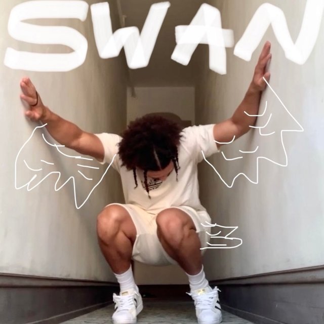 SWAN