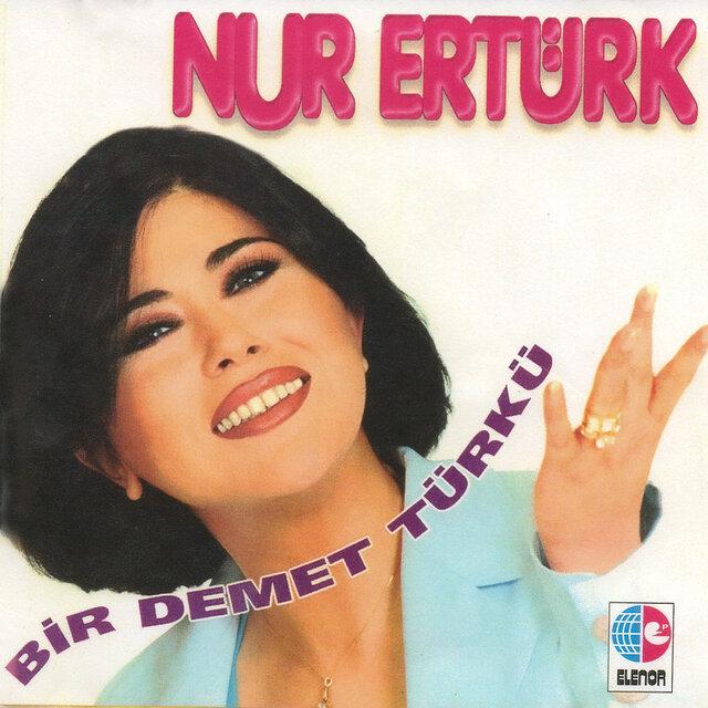Bir Demet Türkü