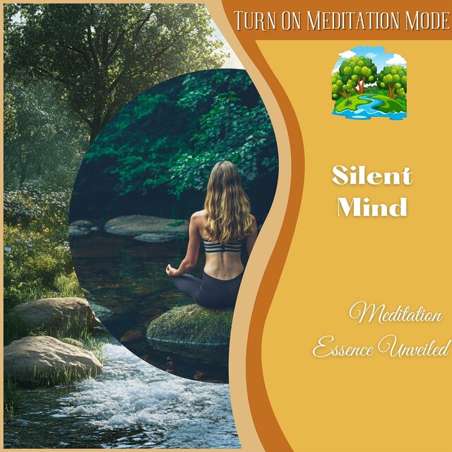 Silent Mind: Meditation Essence Unveiled