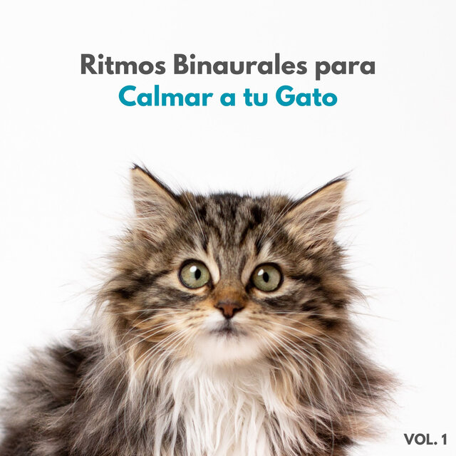 Ritmos Binaurales Para Calmar A Tu Gato Vol. 1