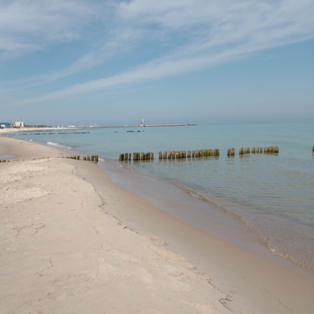 A Walk on the Beach