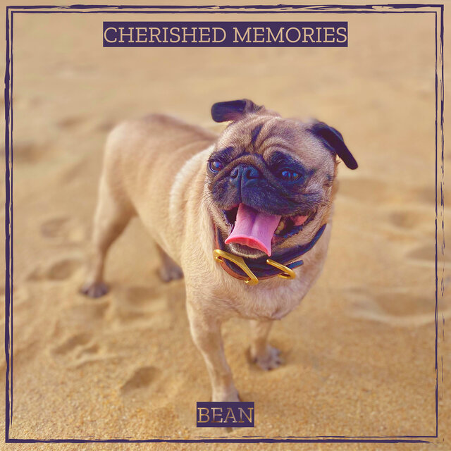 Cherished Memories
