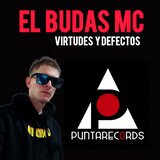 virtudes y defectos