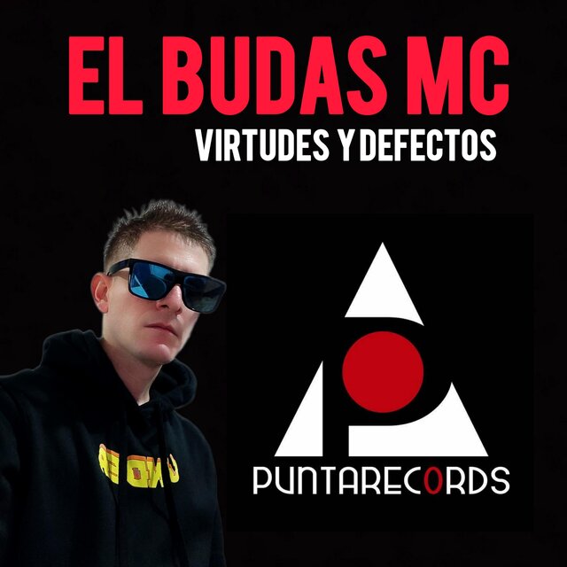 virtudes y defectos