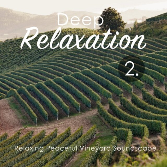 Deep Relaxation: Relaxing Peaceful Vineyard Soundscape 2