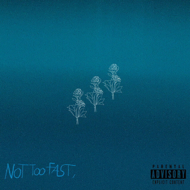 NOT TOO FAST,