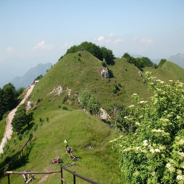 Soave
