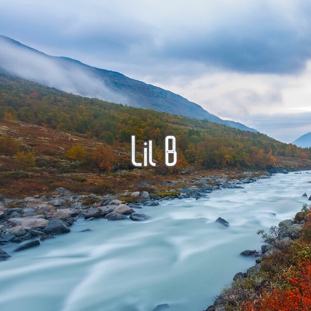 Lil B
