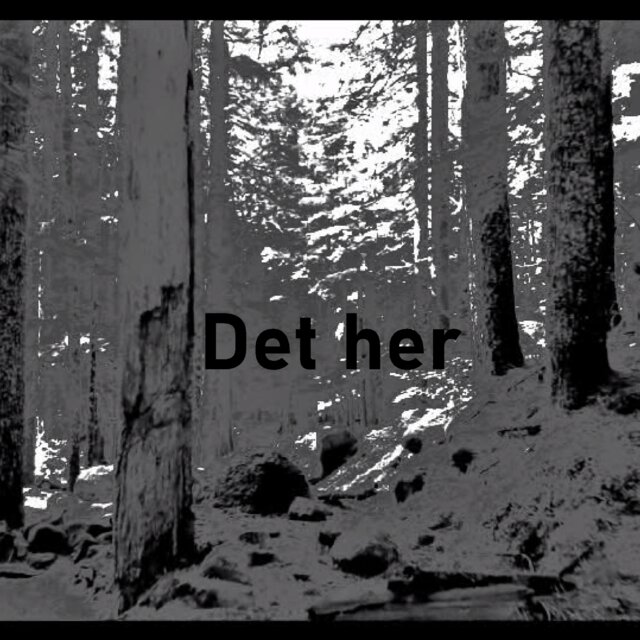 Det her