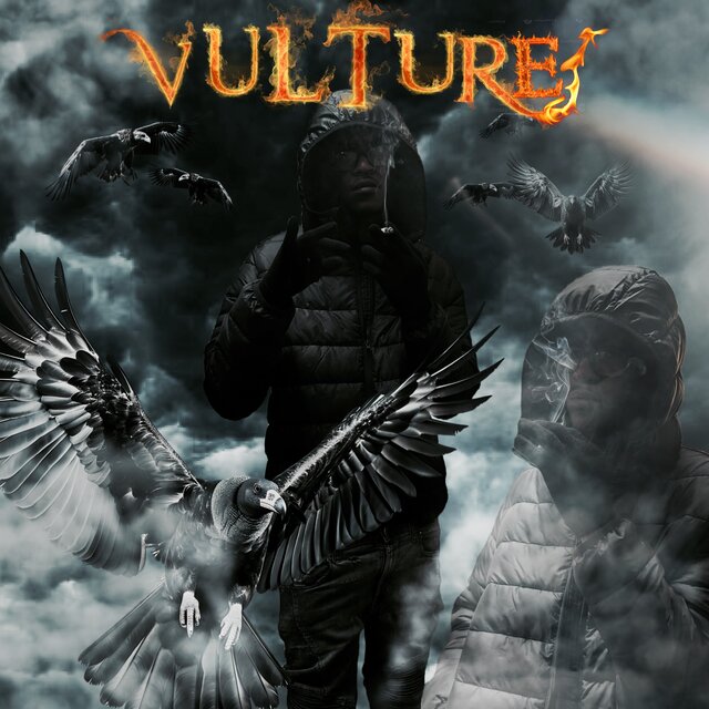Vulture