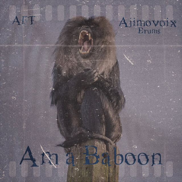 AM A BABOON