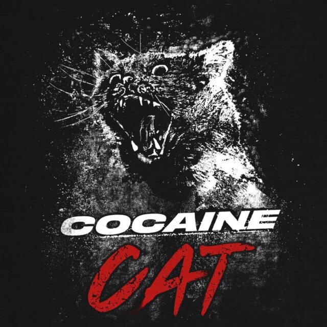 Cocaine Cat