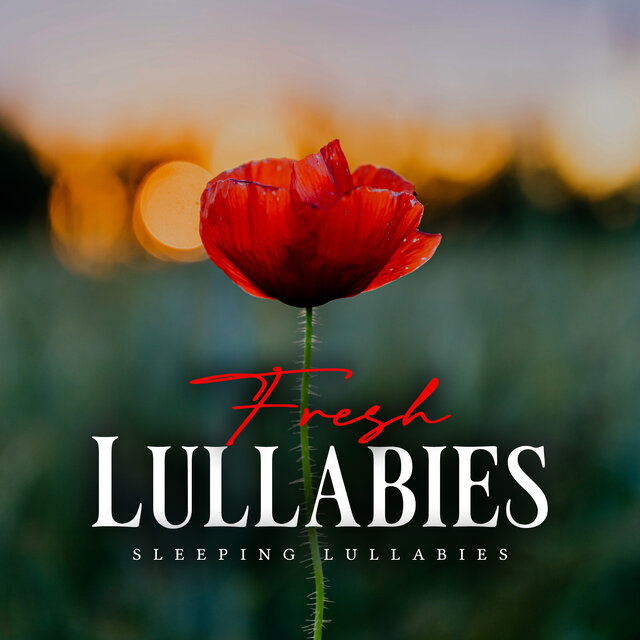 Fresh Lullabies
