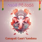 Sarileru Ma Swami (From 