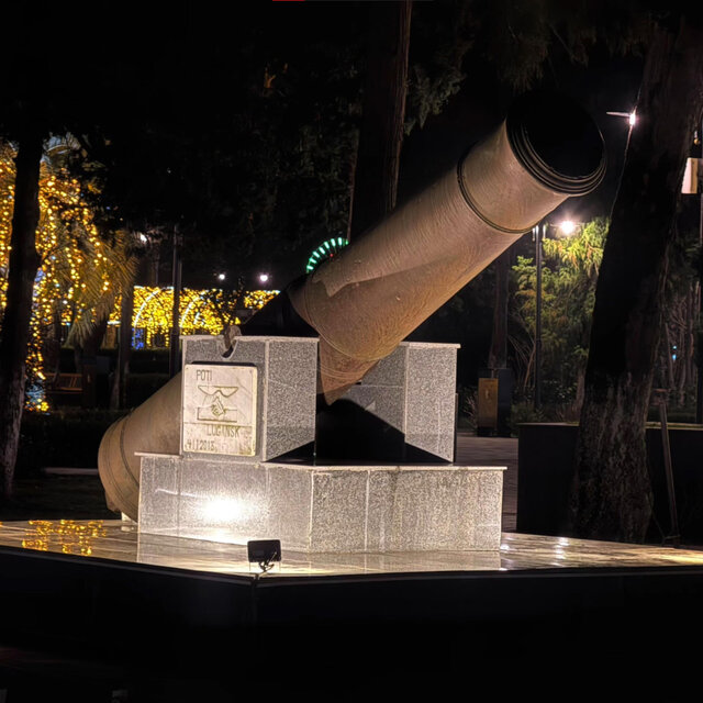 Cannon