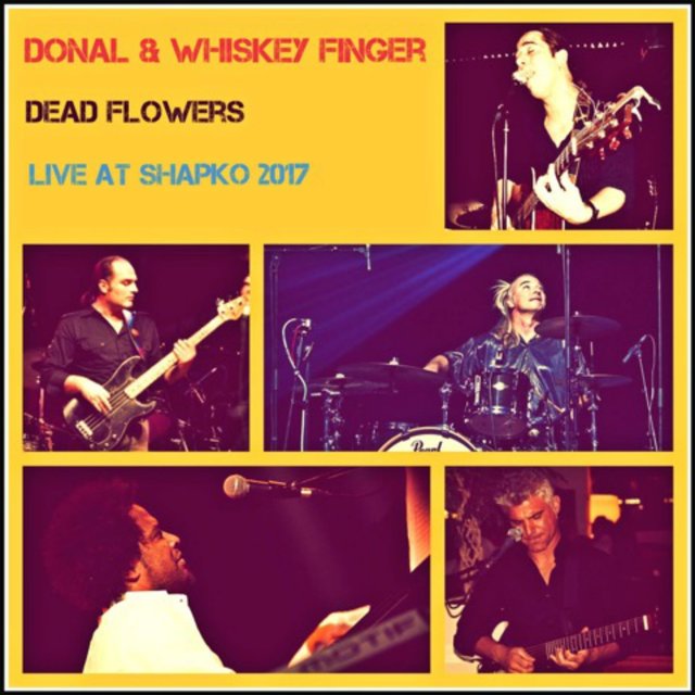 Dead Flowers (Live at Shapko 2017)