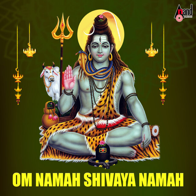Om Namah Shivaya Namah