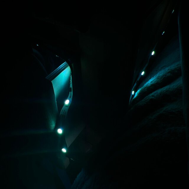 Pioneer