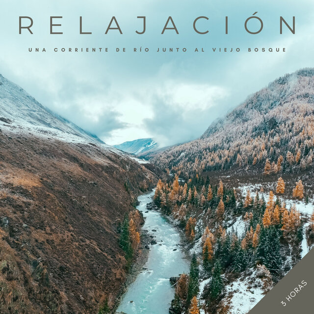 Relajación: Una Corriente De Río Junto Al Viejo Bosque - 3 Horas