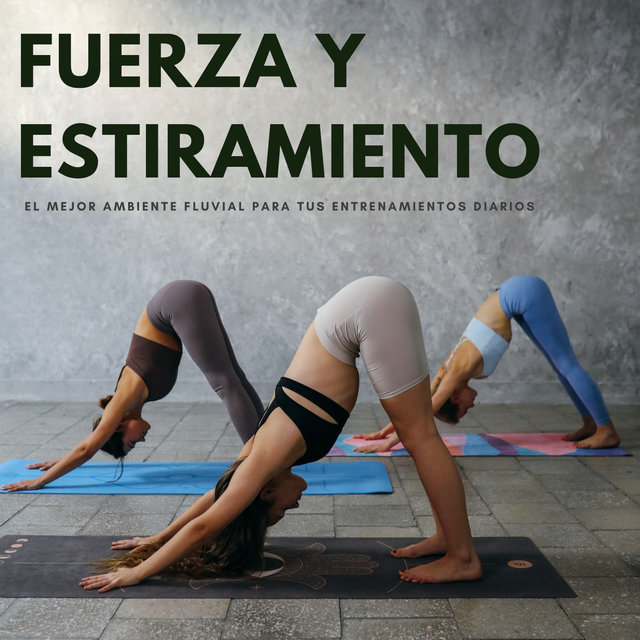 Fuerza Y Estiramiento: El Mejor Ambiente Fluvial Para Tus Entrenamientos Diarios