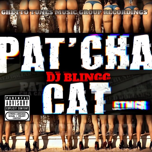 Pat'cha Cat