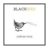 Blackbird