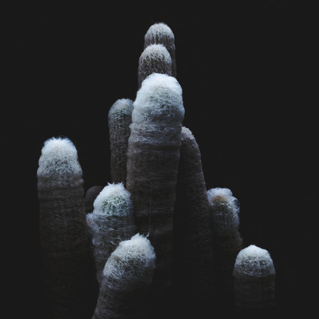 Tropismes