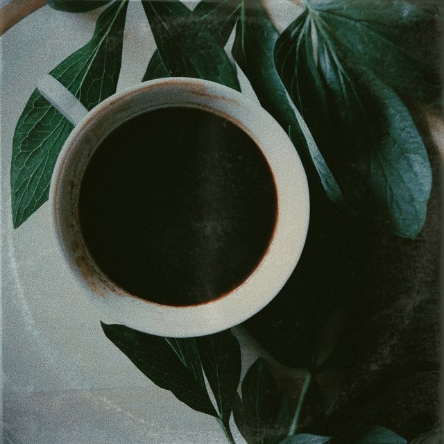 Morning Routine