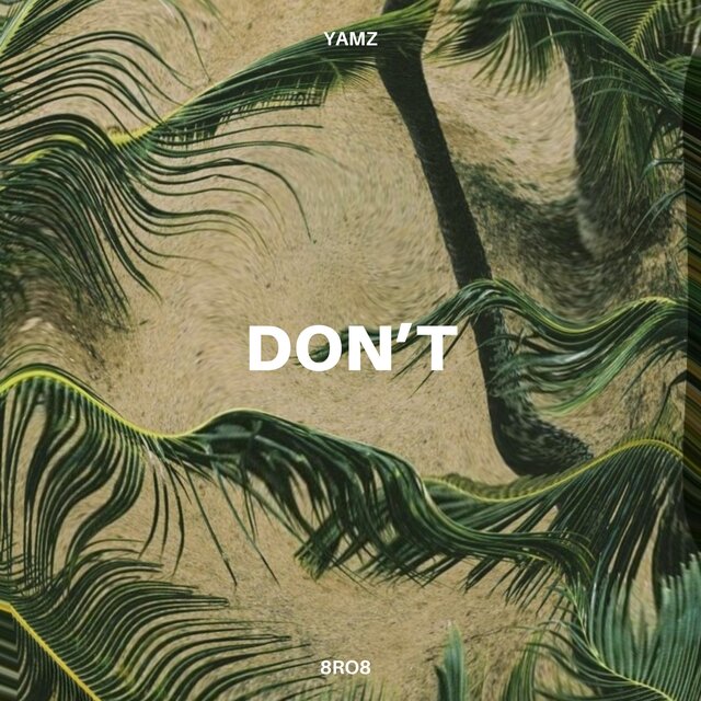 Don't (feat. 8ro8)