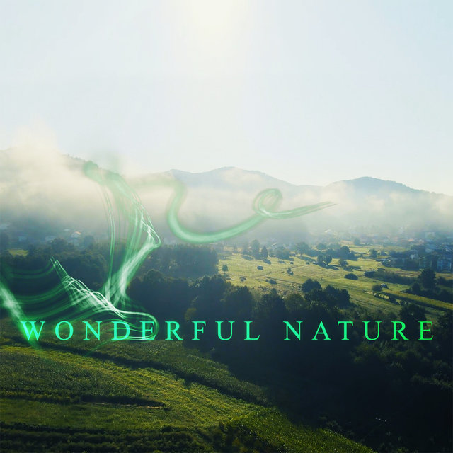Wonderful Nature
