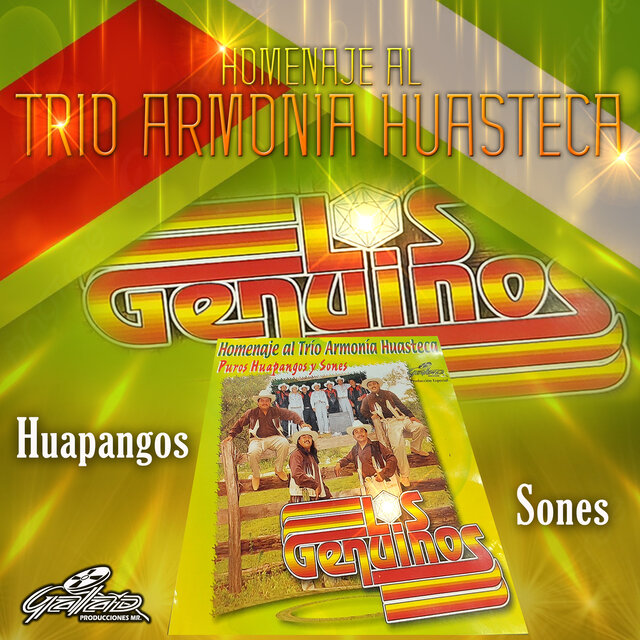 Homenaje al trio Armonia Huasteca