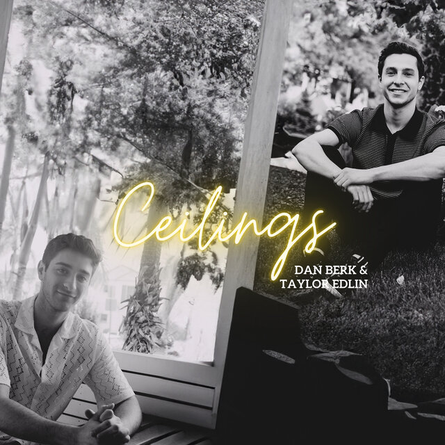 Ceilings (Acoustic)
