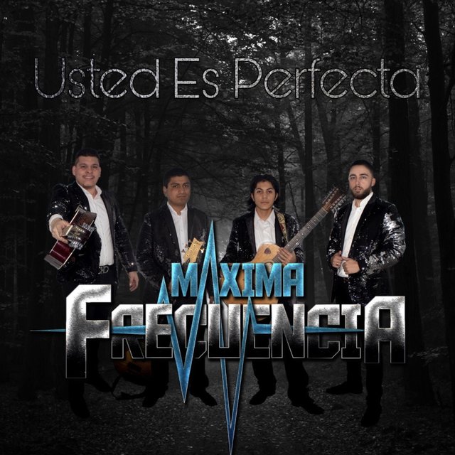 Usted Es Perfecta