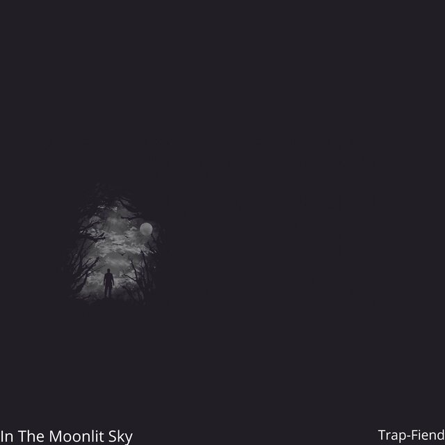 In The Moonlit Sky