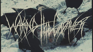 waking the cadaver アジアツアー　XL Waking The Cadaver