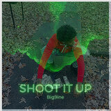 Shoot It Up