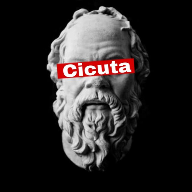 Cicuta